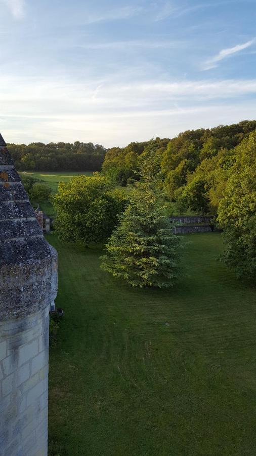 Chateau De Re Le Petit-Pressigny Exterior photo